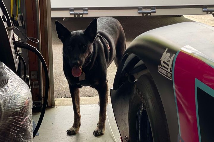 Good doggie Hoosier Mae entering the garage next to racing car #07.